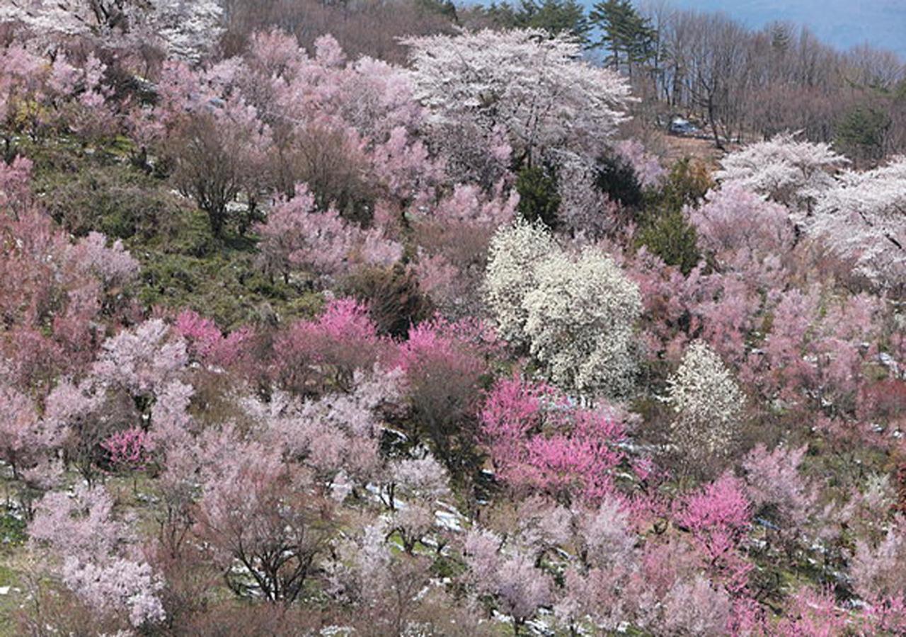 土湯温泉 やすらぎの宿 向瀧旅館 Fukushima  Exterior foto